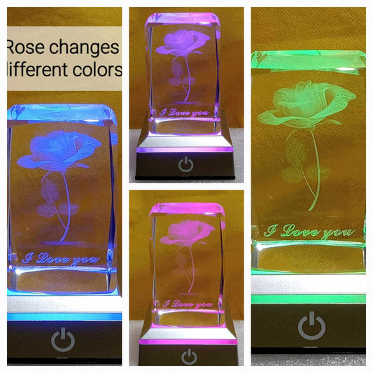 Multi color roses